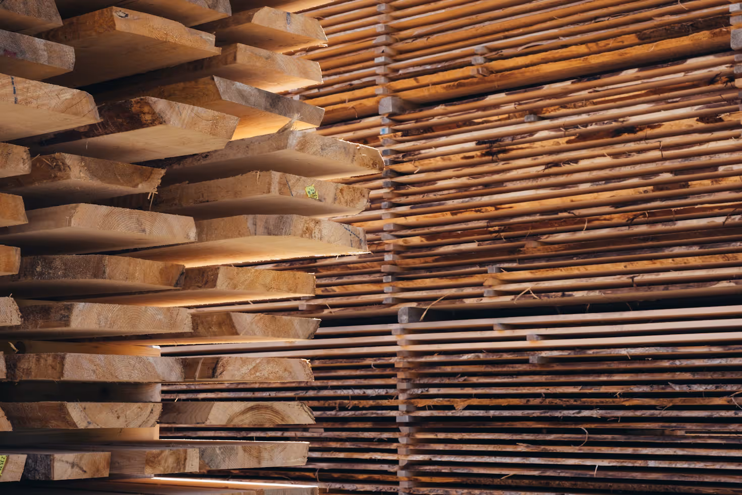 Wholesale Lumber Distributor